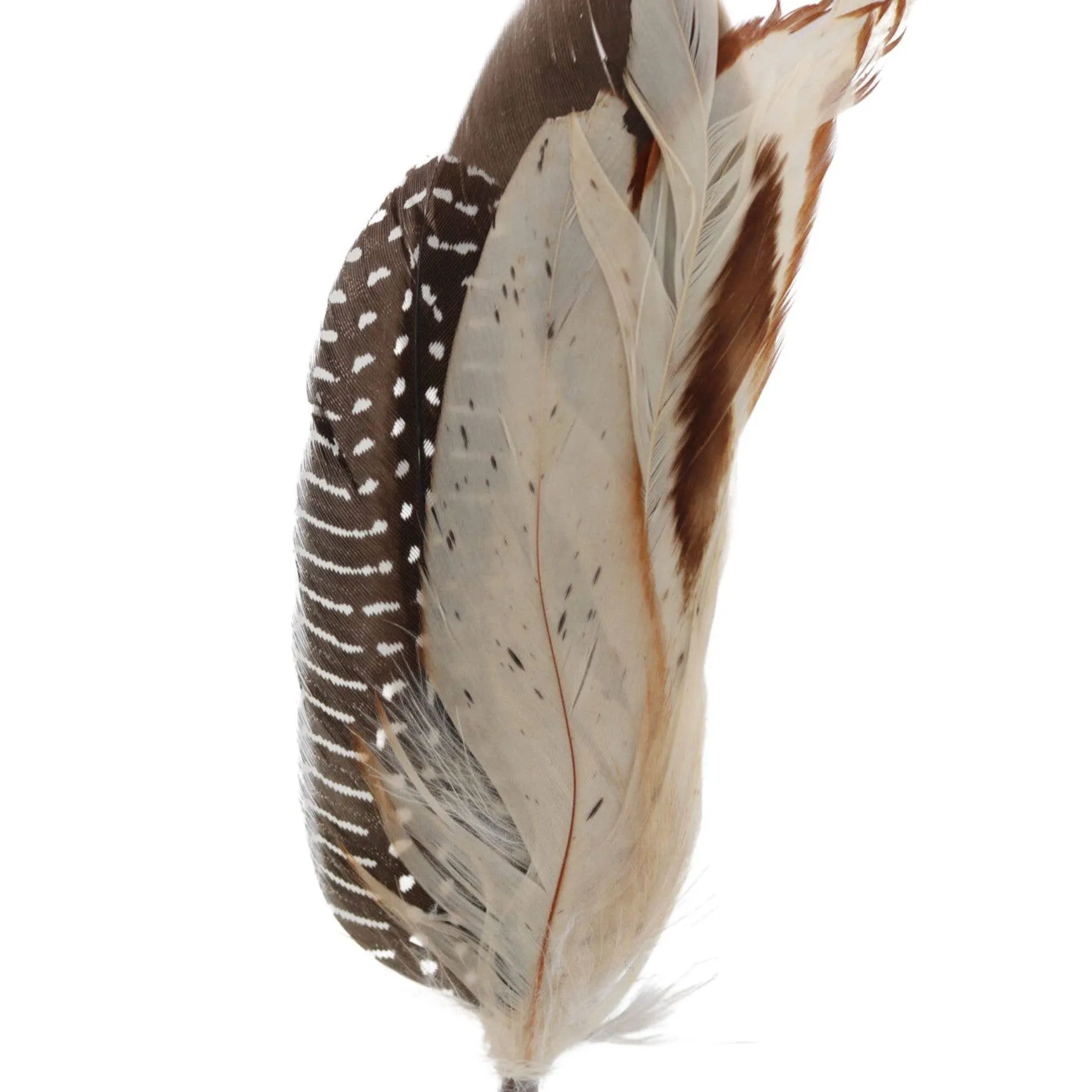 Feather Hat Accent - Cheyenne
