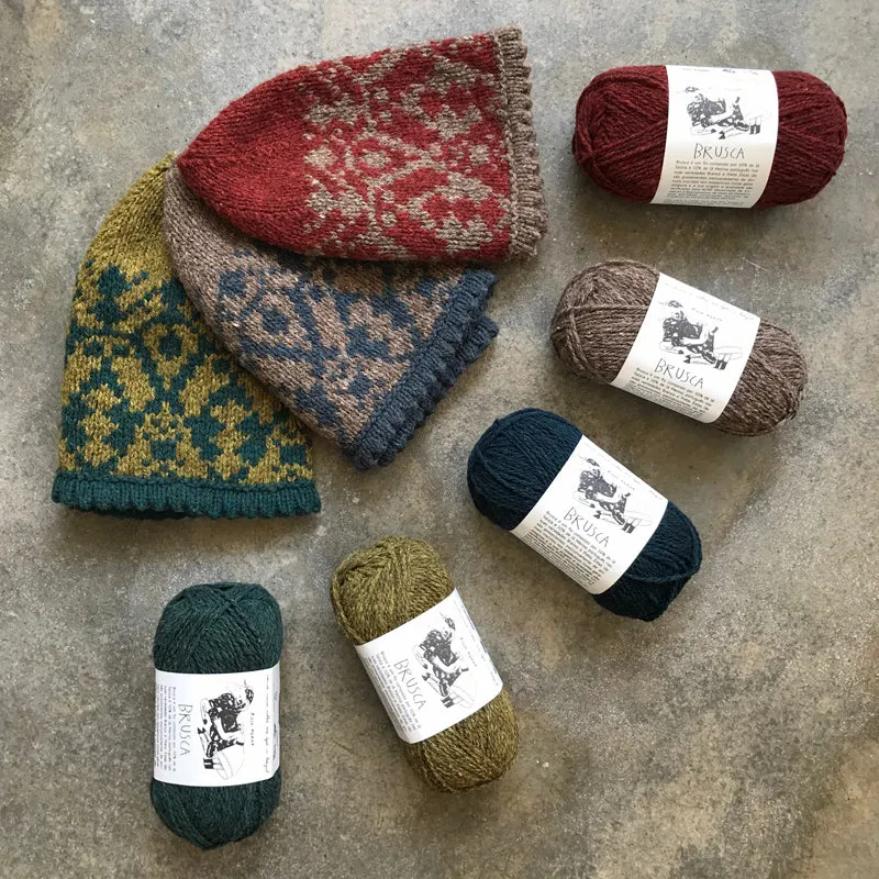 Lygaeus hat kit